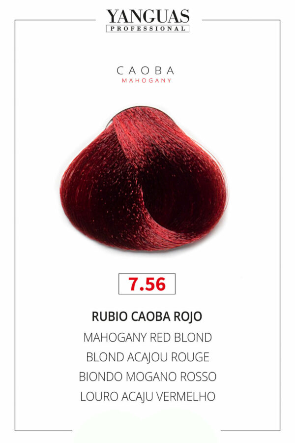 Tinte Rubio Caoba Rojo 7.56 Attraxtion