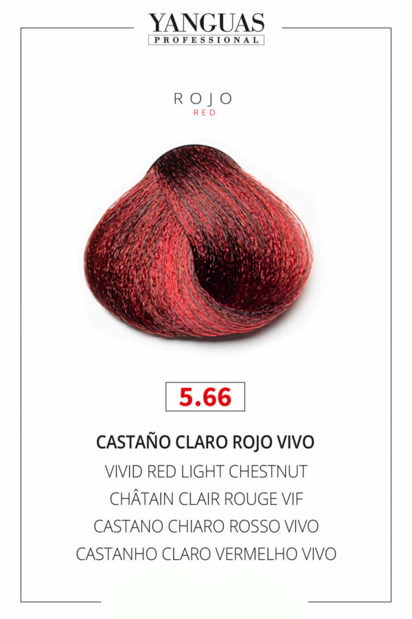 Tinte Castaño Claro Rojo Vivo 5.66