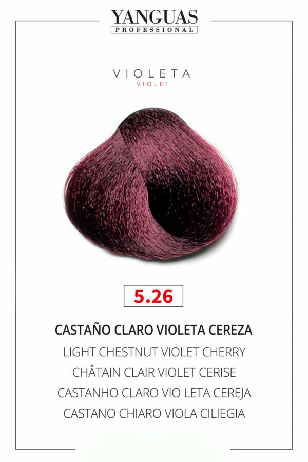 Tinte Castaño Claro Violeta Cereza 5.26